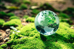 top US environmental consulting firms