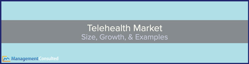 Telehealth Market Size Growth Examples